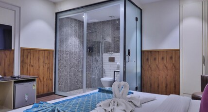 Clay Inn Hotels, Paschim Vihar Room Type - Deluxe Superior Room
