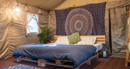 Aloha Riverside Room Type - Safari S1 and S2