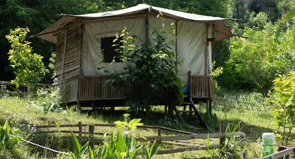 Aloha Riverside Room Type - Bell Tents