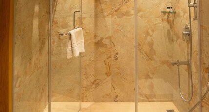 TIRUPATI RESORT Room Type - Executive Room