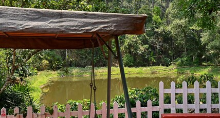 GREEN GLADE HOMESTAY Room Type - Quad Room