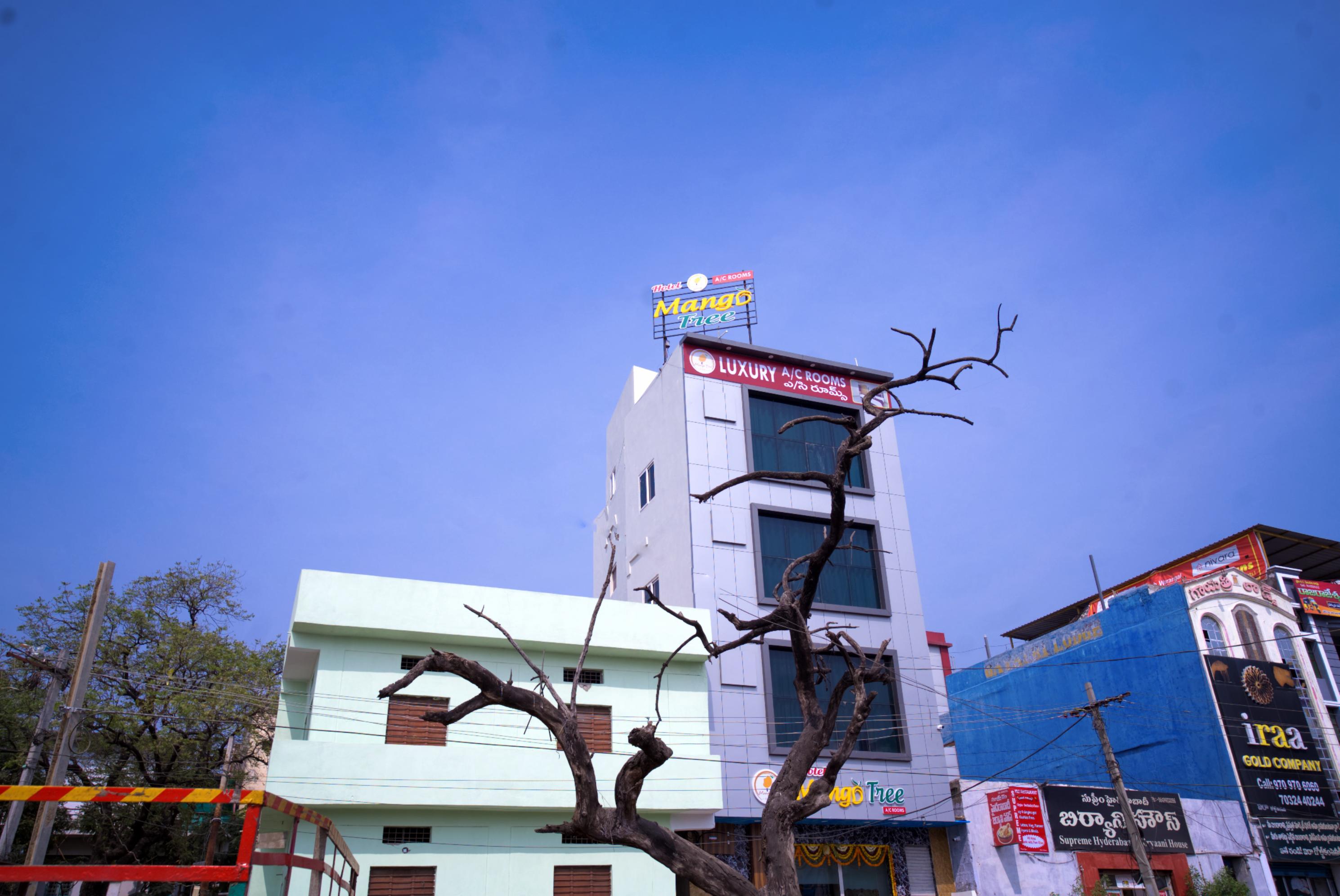 Hotel Mango Tree - Tap to explore photos
