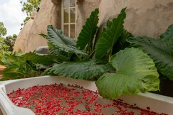 A quaint stay with an OutdoorBathtub - Hobbit House by Roamhome