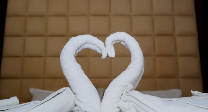 The saurav Room Type - Super Deluxe Room