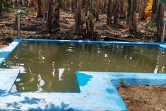 HIDEAWAY FARM STAY HAMPI