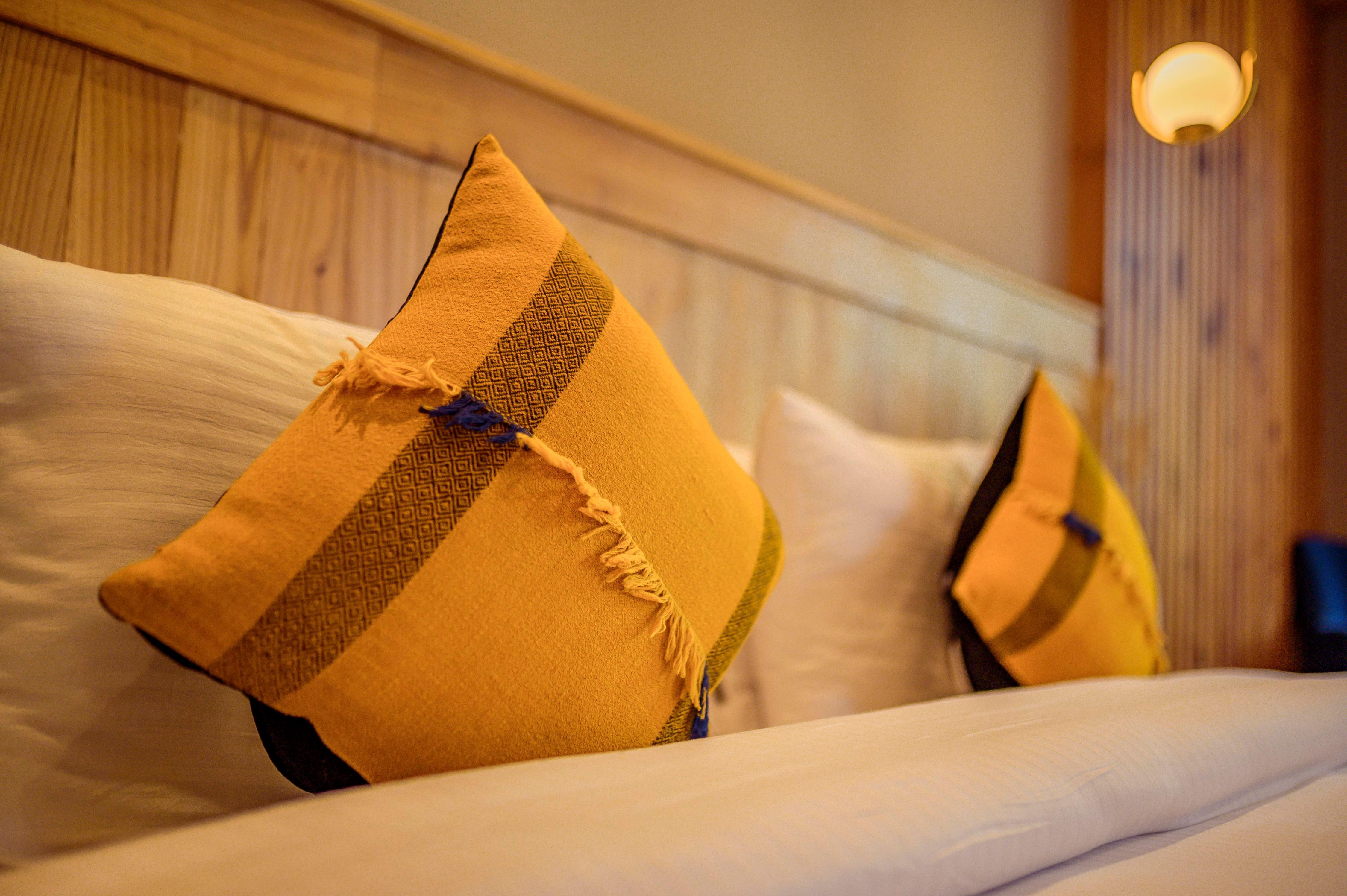 Rewa Ladakh Room Type - Shing Nang Premier Room