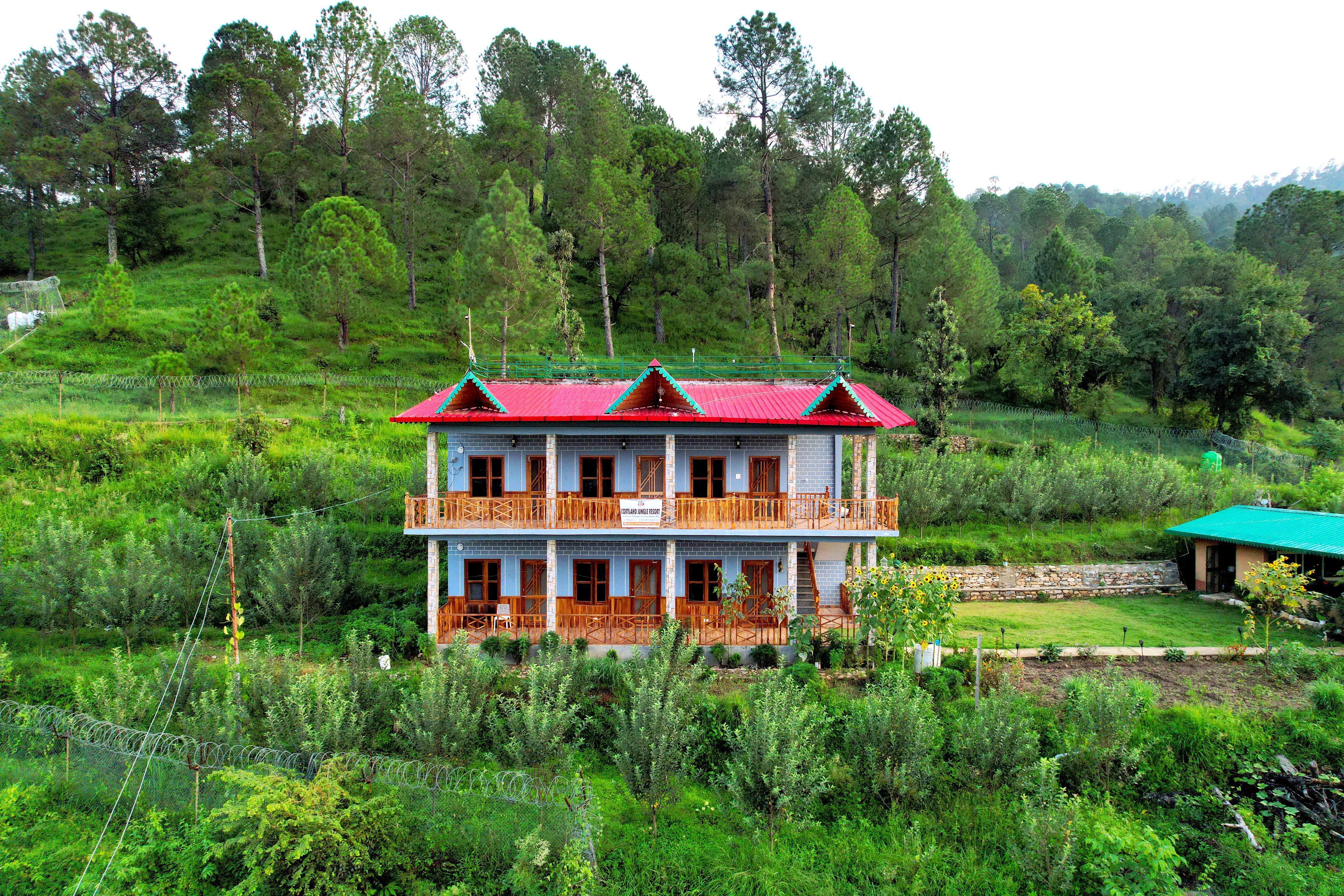 Cortland Jungle Resort