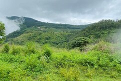 Pepper Woods Homestay