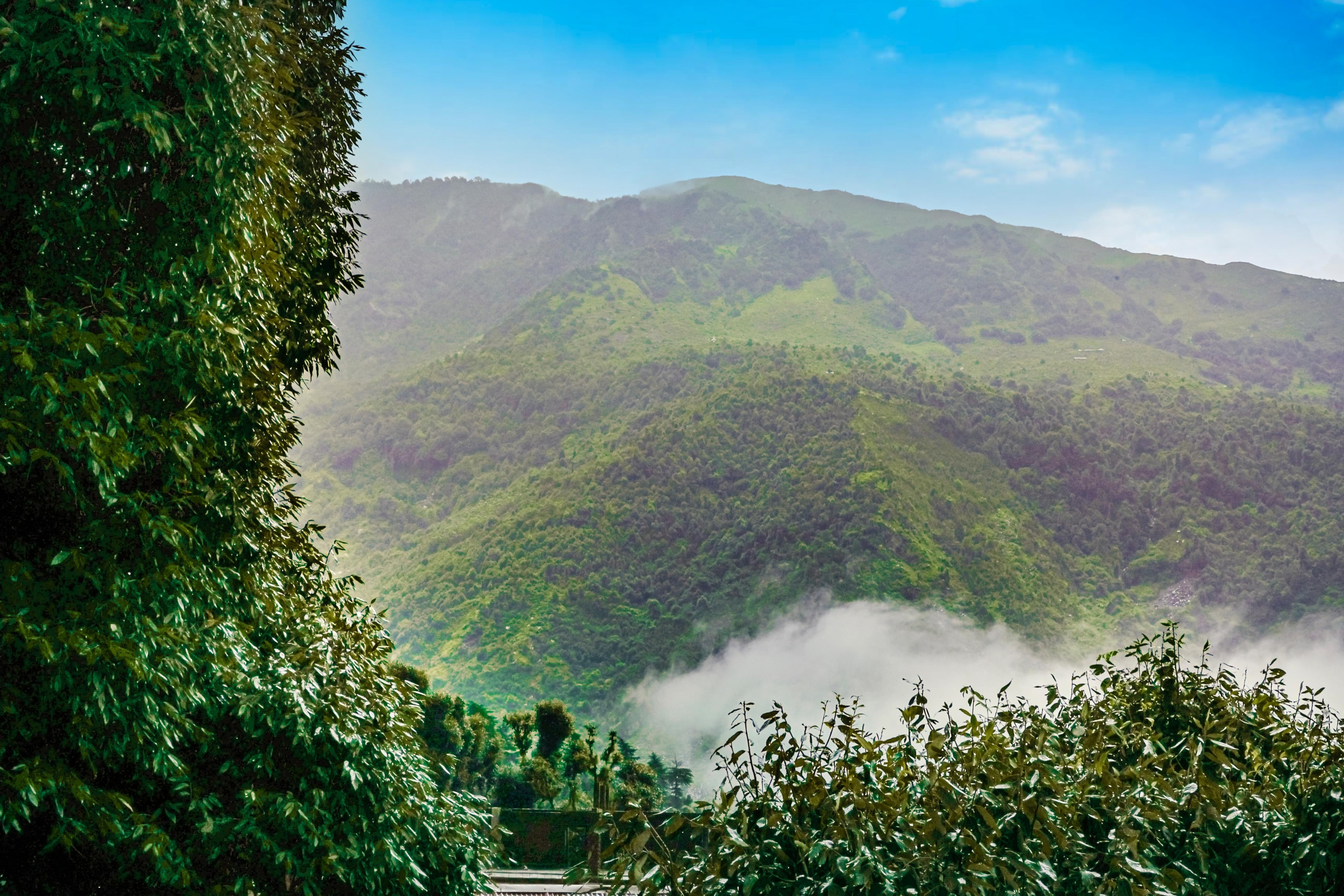 Regenta Inn Luxinna Heights Mcleodganj - Tap to explore photos