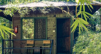 Resort Pench Wilderness Camp Room Type - Deluxe Wooden Machaan Room