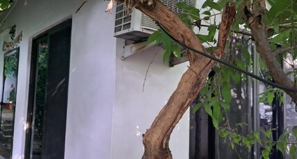 Vyomanh Home Stay Udaipur  Room Type - Tribal cottage @ Vyomanh N