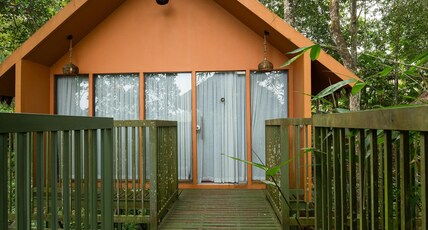 KING FLORA ORGANIC FARM RESORT Room Type - Flora Nest Stilt Cottage with Swimming Pool