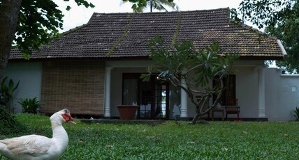 Olam Room Type - Premium Cottage (A) with Lake view