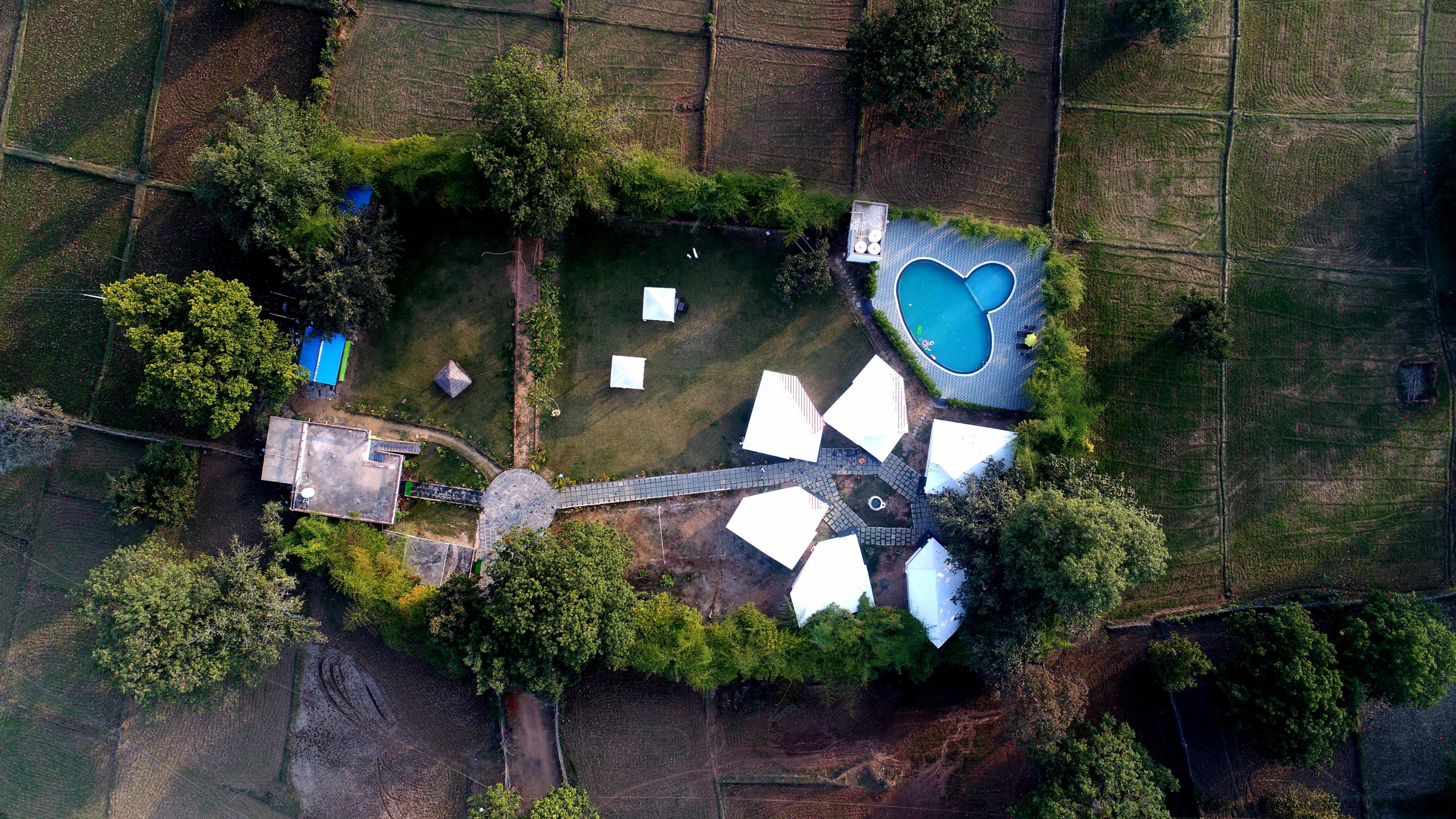 Olive hotels and resorts