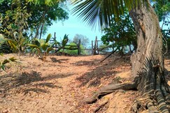 Talpona beach homestay