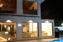 The Whispering Palms