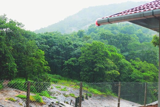 WaterVibes Resorts Mamalakandam