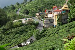 Traditional Hotel