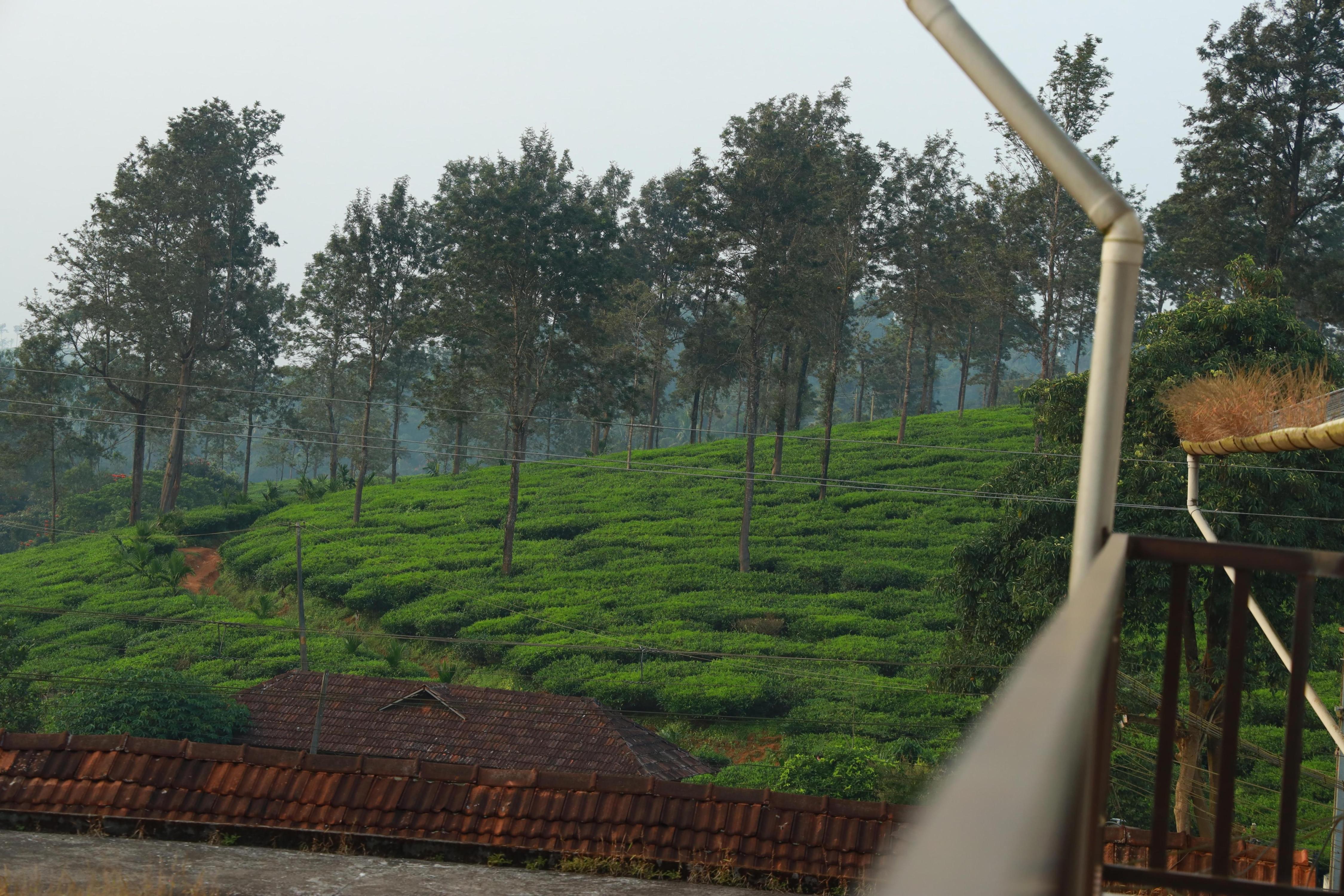 Heavenly Wayanad Holiday Homes - Tap to explore photos