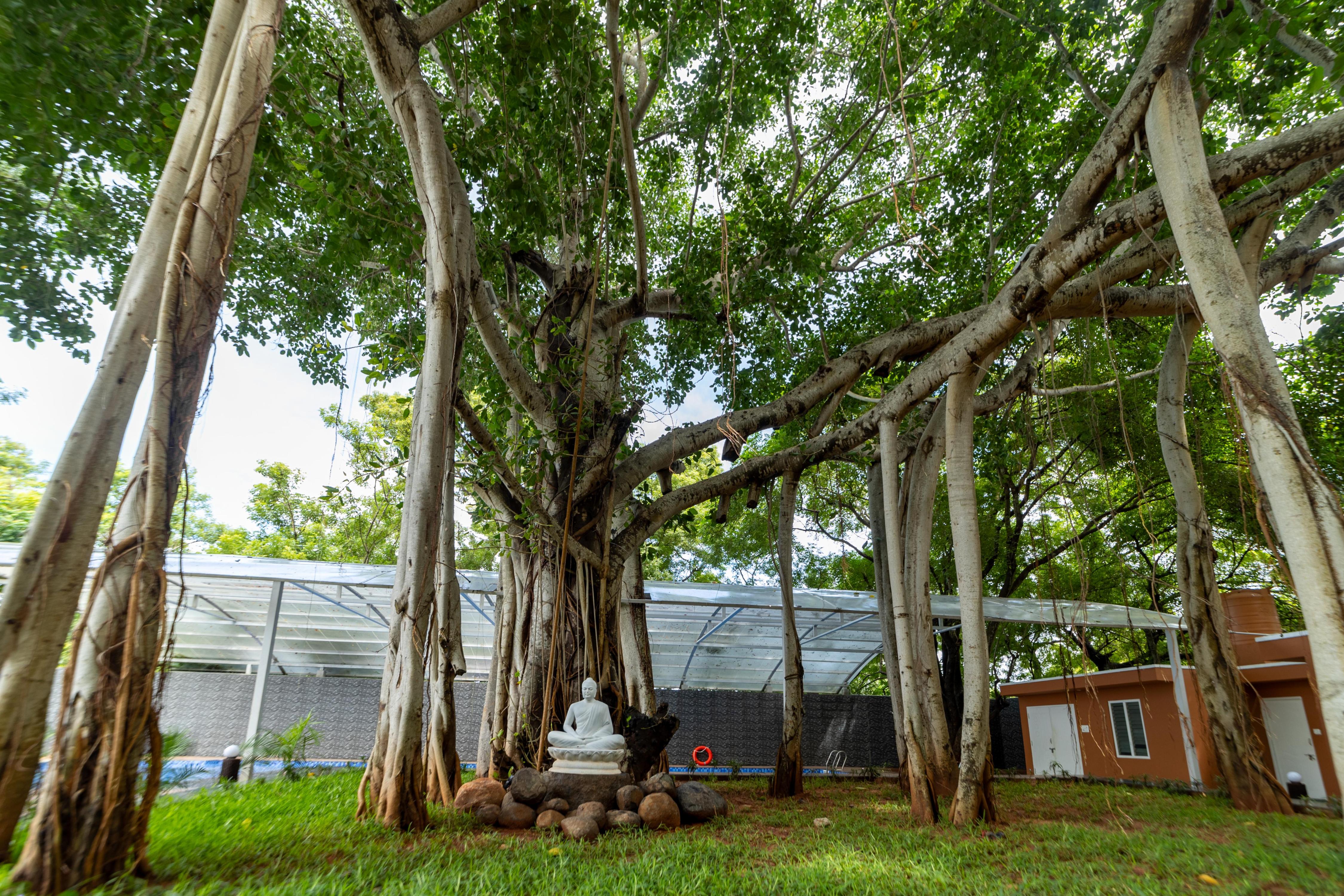 MAGIZHVANAM RESORT - Tap to explore photos