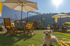 The Hosteller Manali, Old Manali