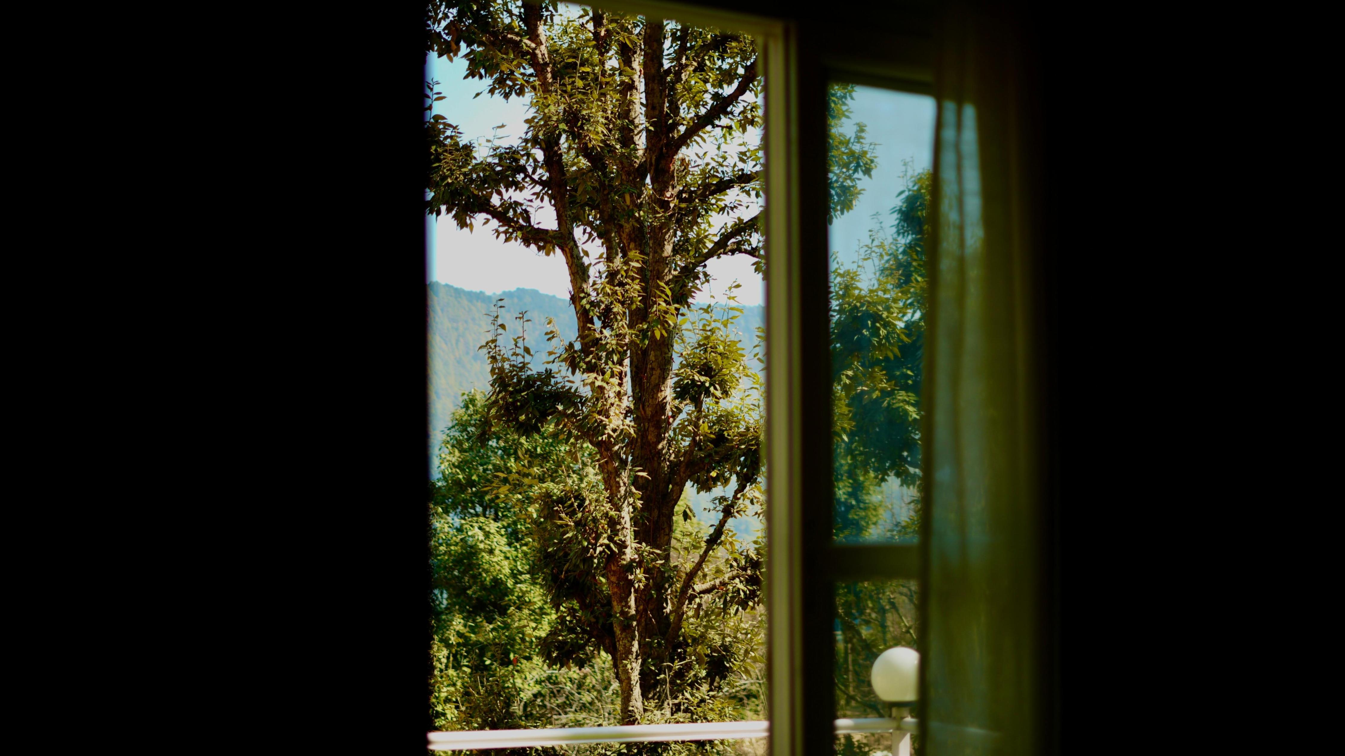 The Foresta By Orchid Hospitality And Holidays - Tap to explore photos