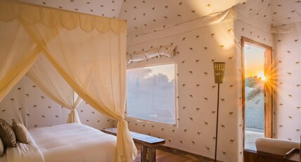 GRAND KHALIFA LUXURY CAMP Room Type - Suite luxury tent