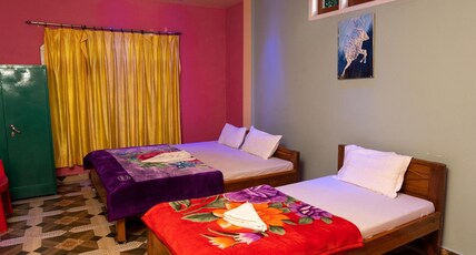 Jungle Star Mansion Room Type - Executive AC Quad Room