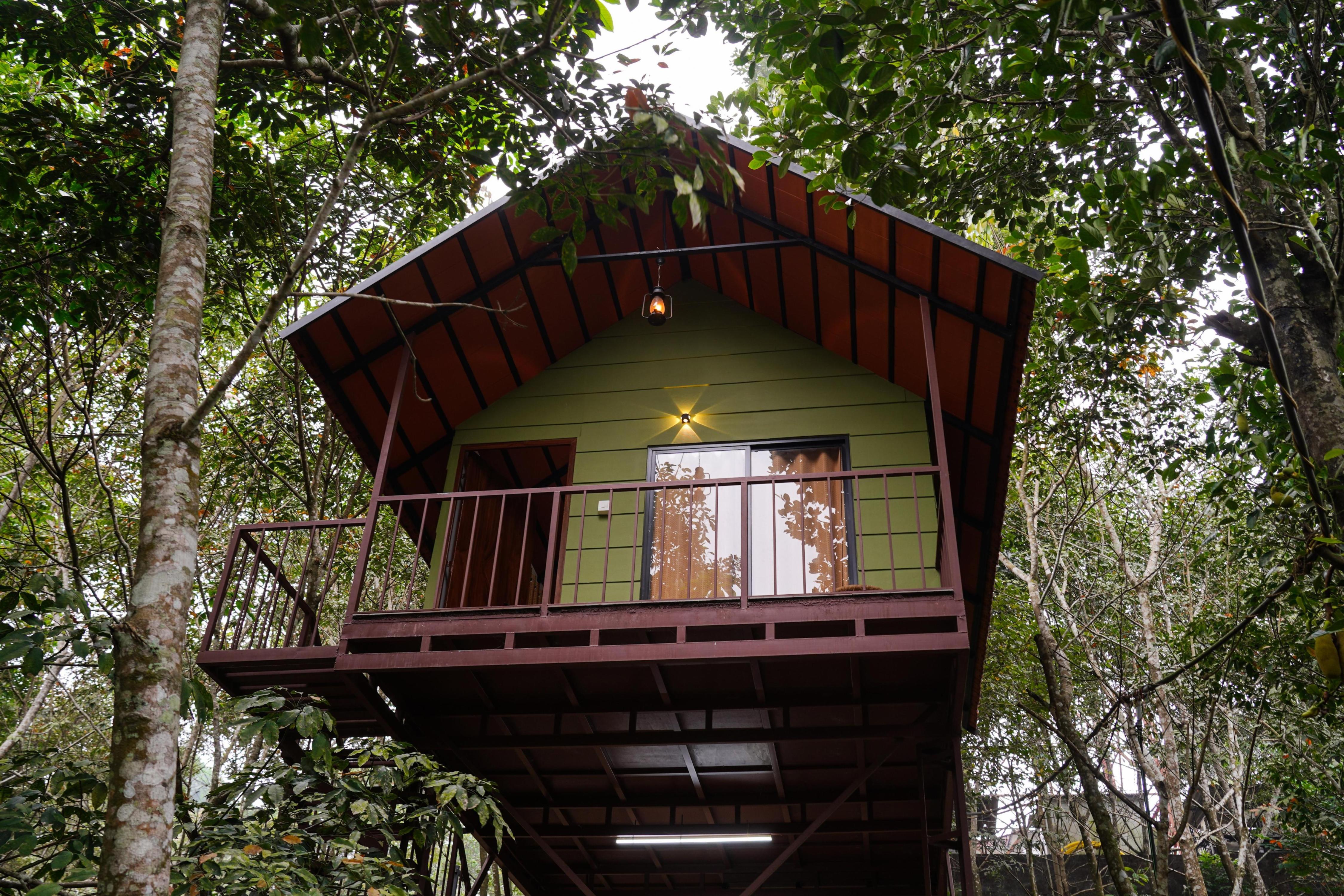 Seena Homestay and Huts Room Type - Leafy Heaven Raised Hut
