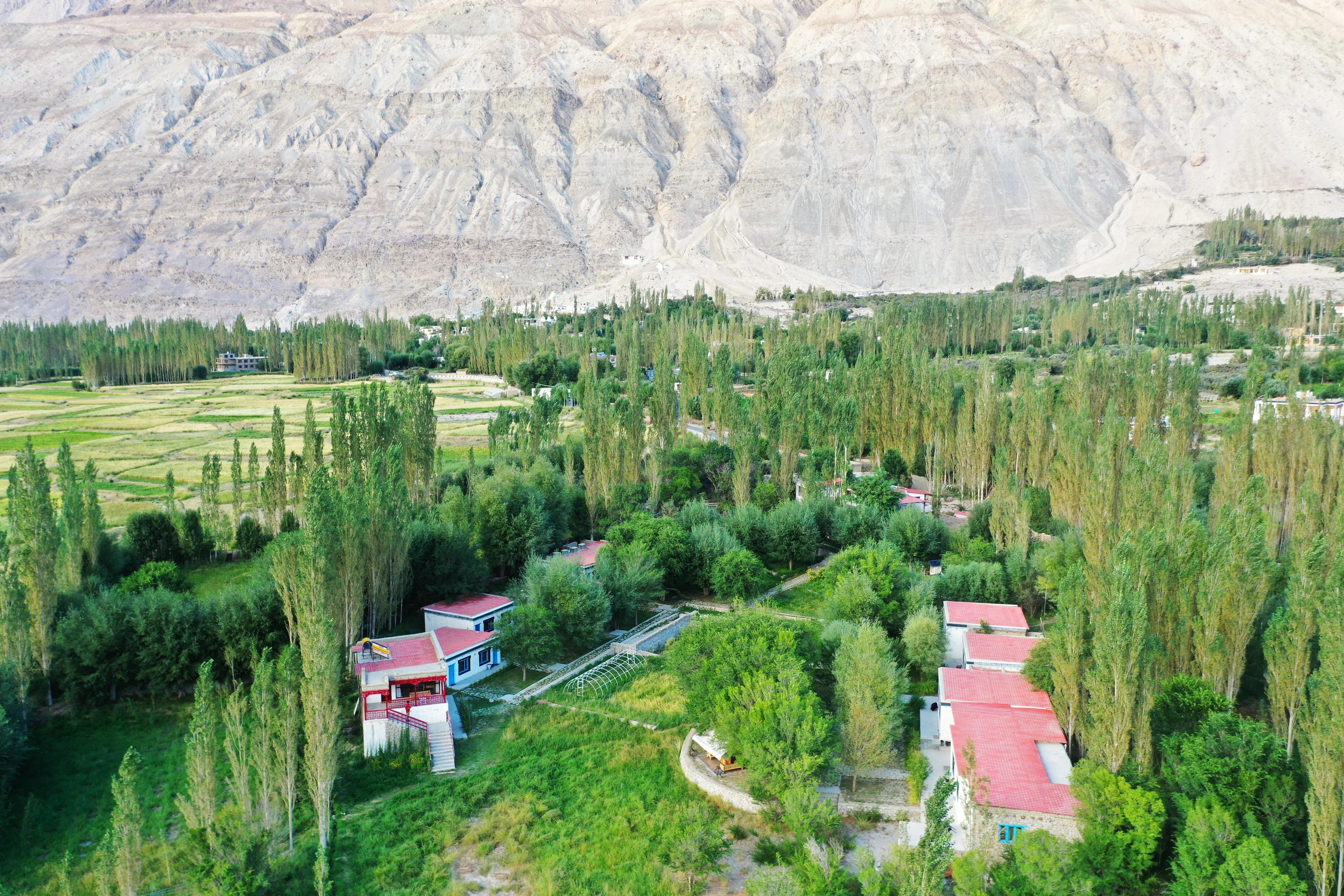 Lharimo (North) Nubra Valley