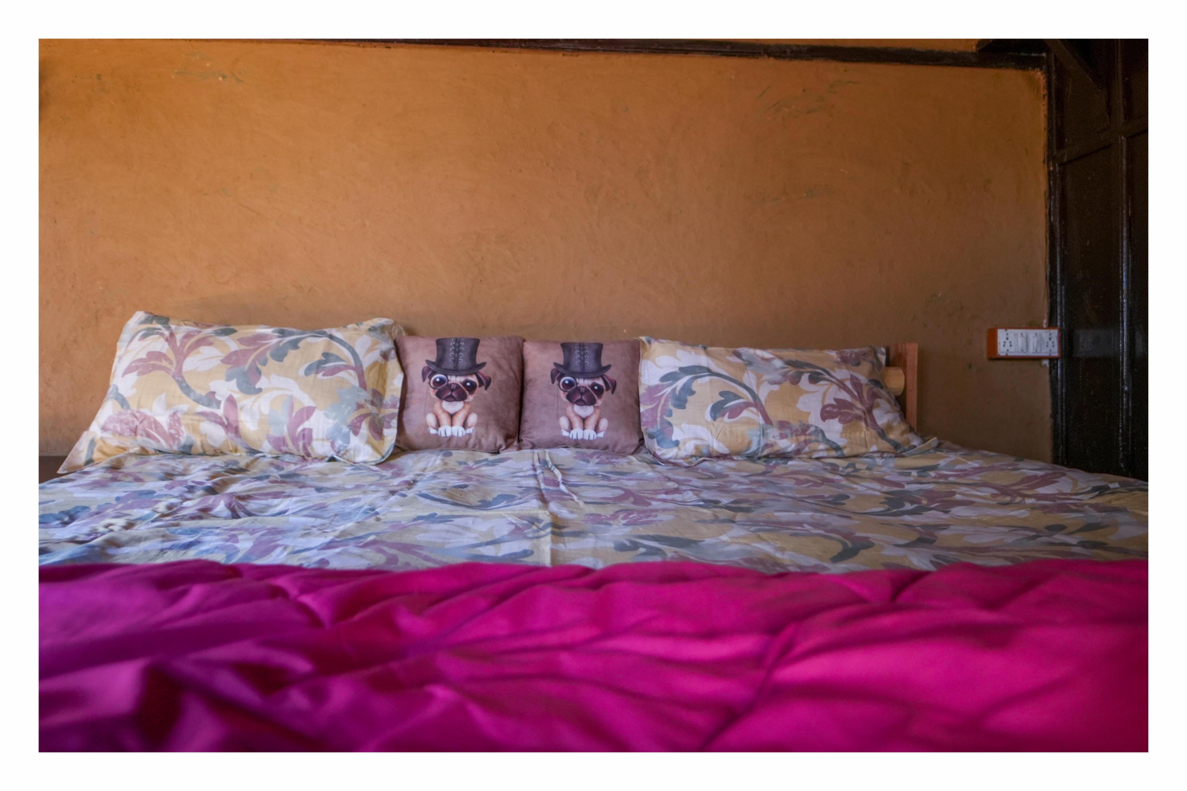 Daankudi Heritage - Tap to explore photos