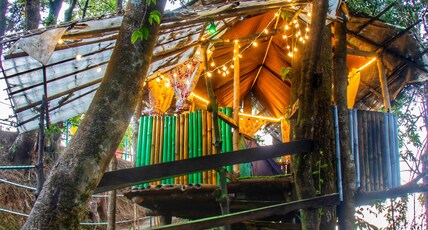 Jungle adventure camp Room Type - Open Tent