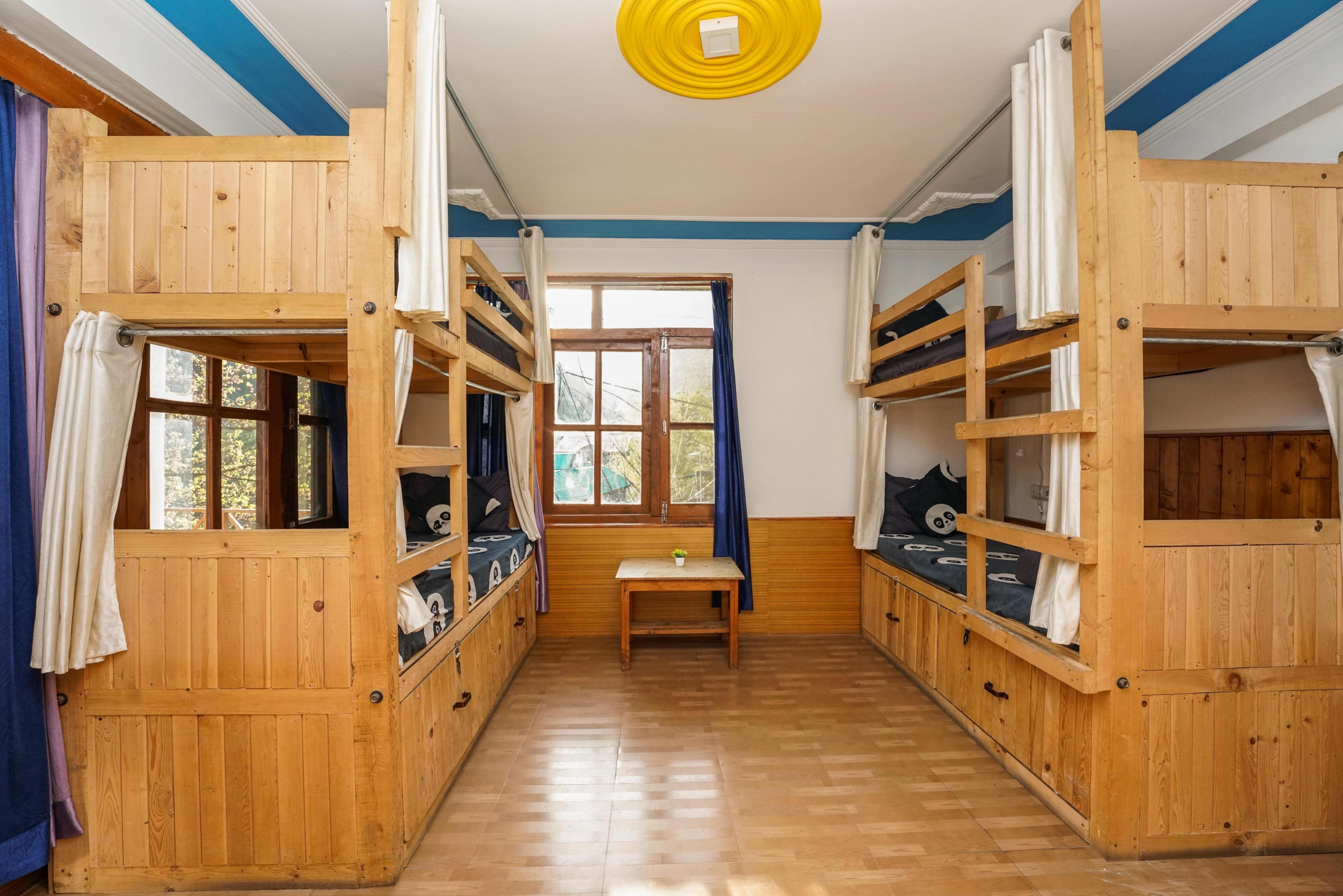 Hippie panda hostel, Manali - Tap to explore photos
