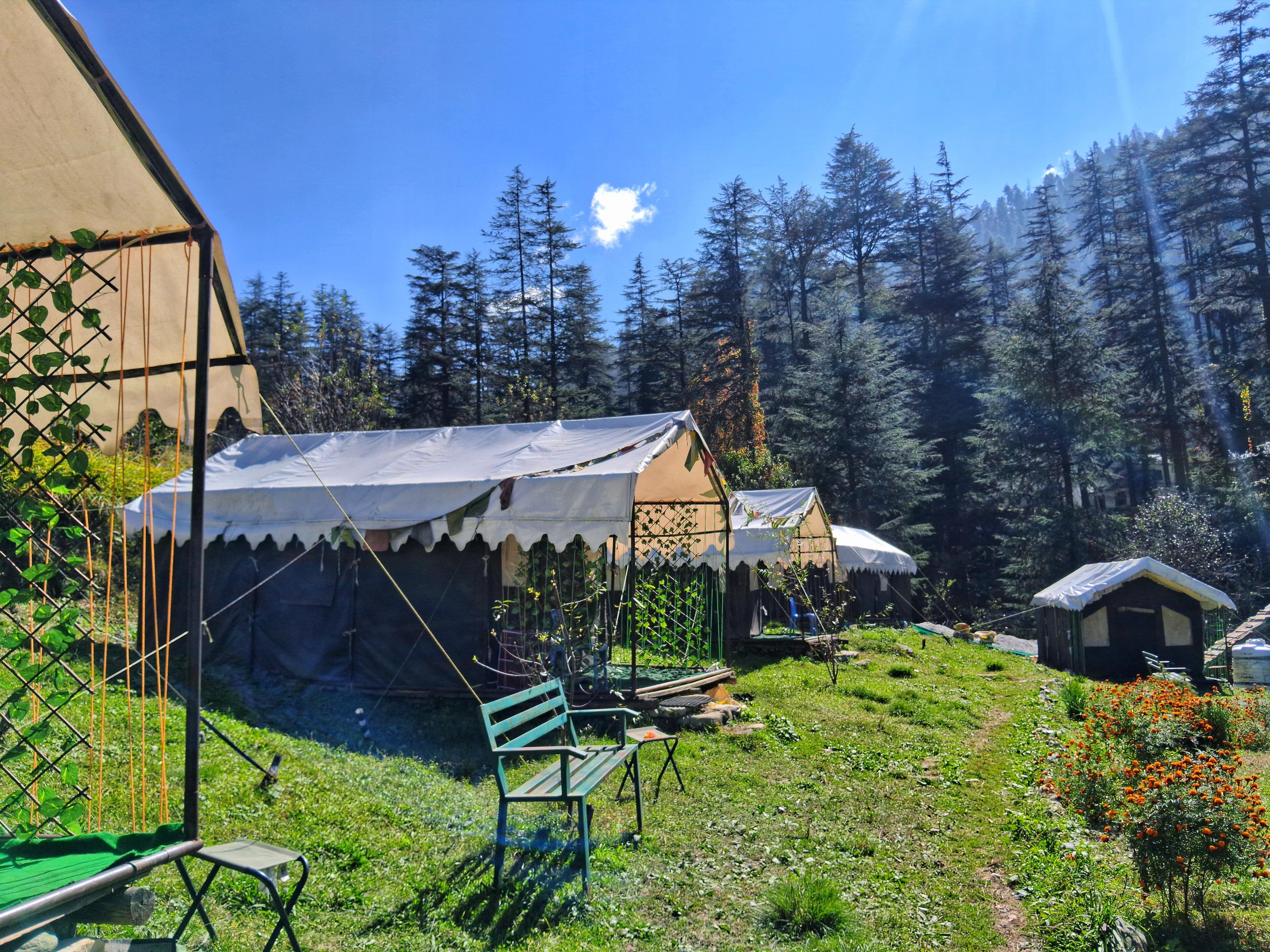 My Manali Adventures swiss camps