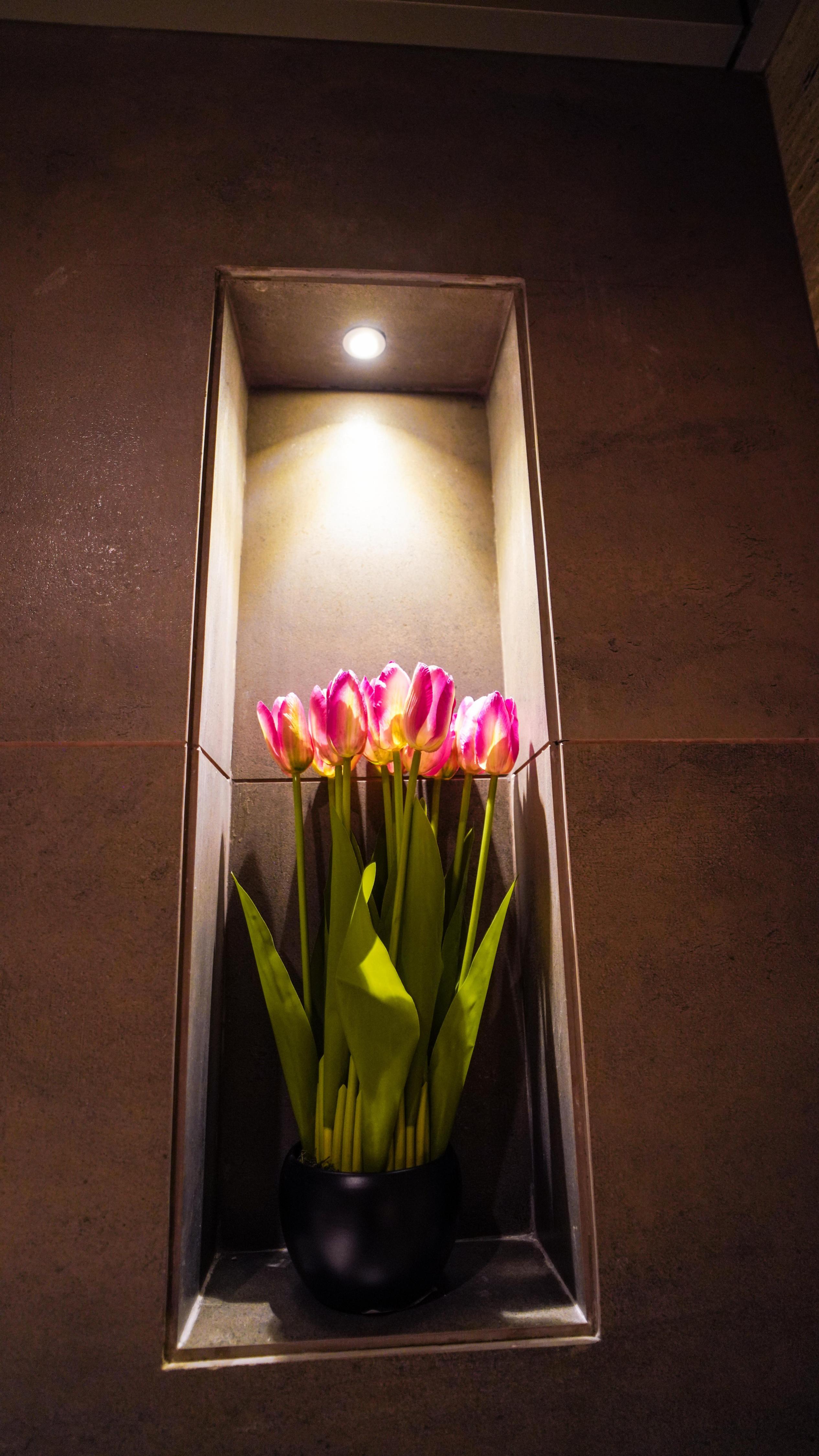 Le Vivanta - Tap to explore photos