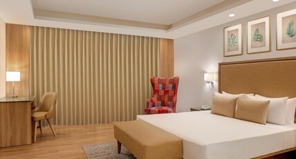 Lemon Tree Hotel Rishikesh  Room Type - Executive Room