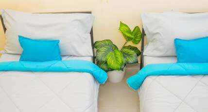 Z Express Info Zone Room Type - Standard Twin