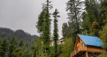 Gatsby's A-frame In Tandi Room Type - Gatsby's A-frame In Tandi