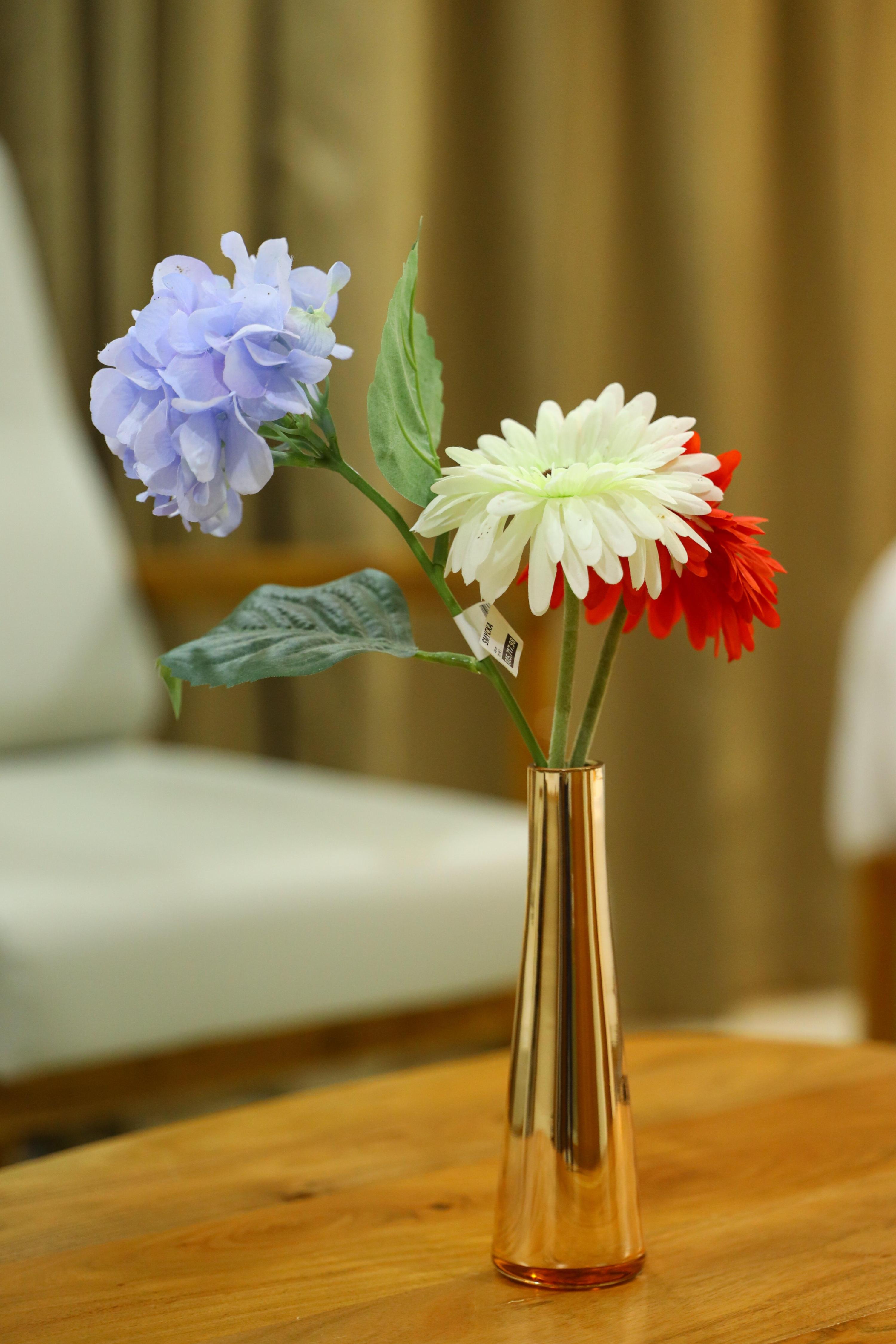 Pasupala Boutique Hotel - Tap to explore photos