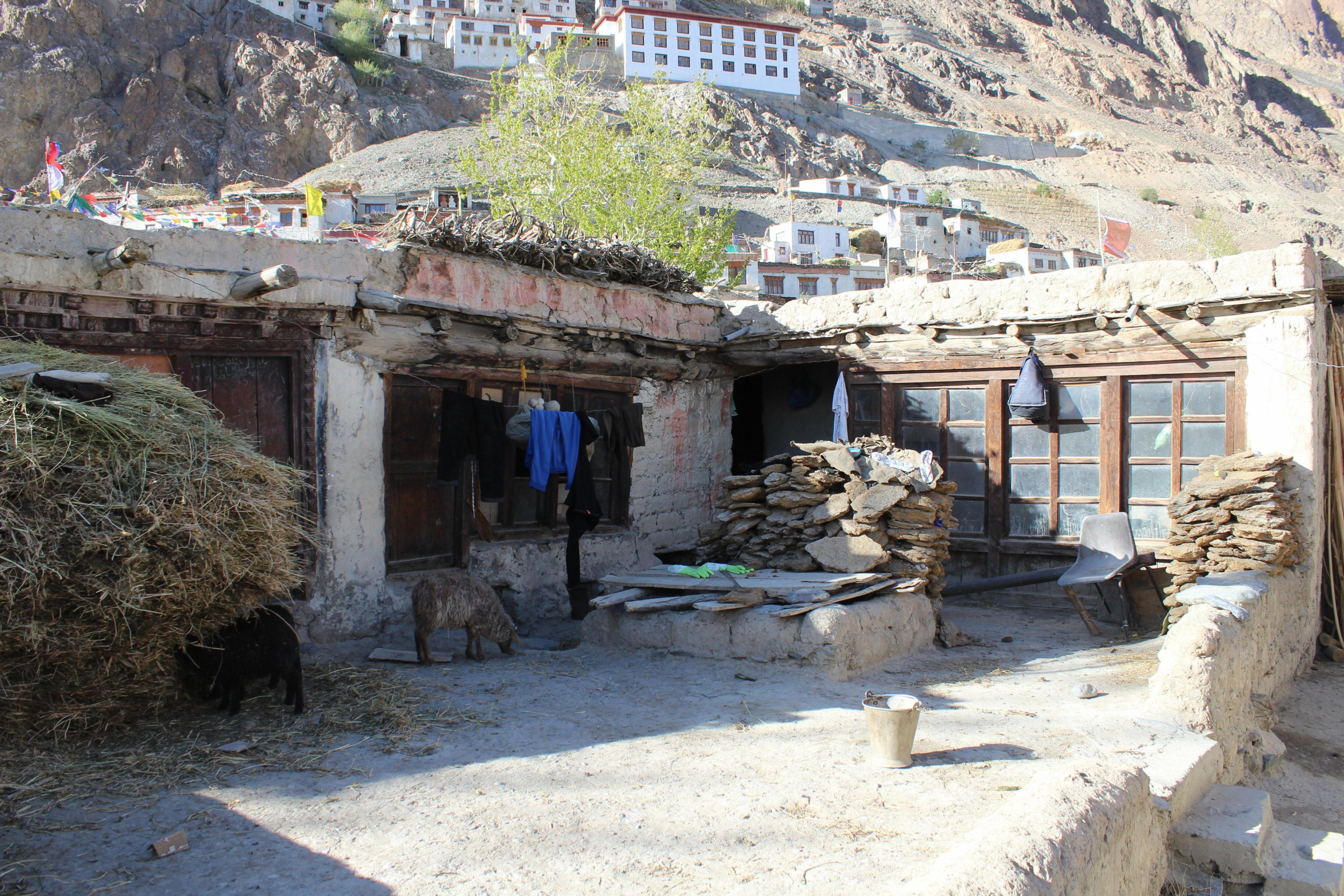 Karsha Eco Homestay Zanskar - Tap to explore photos