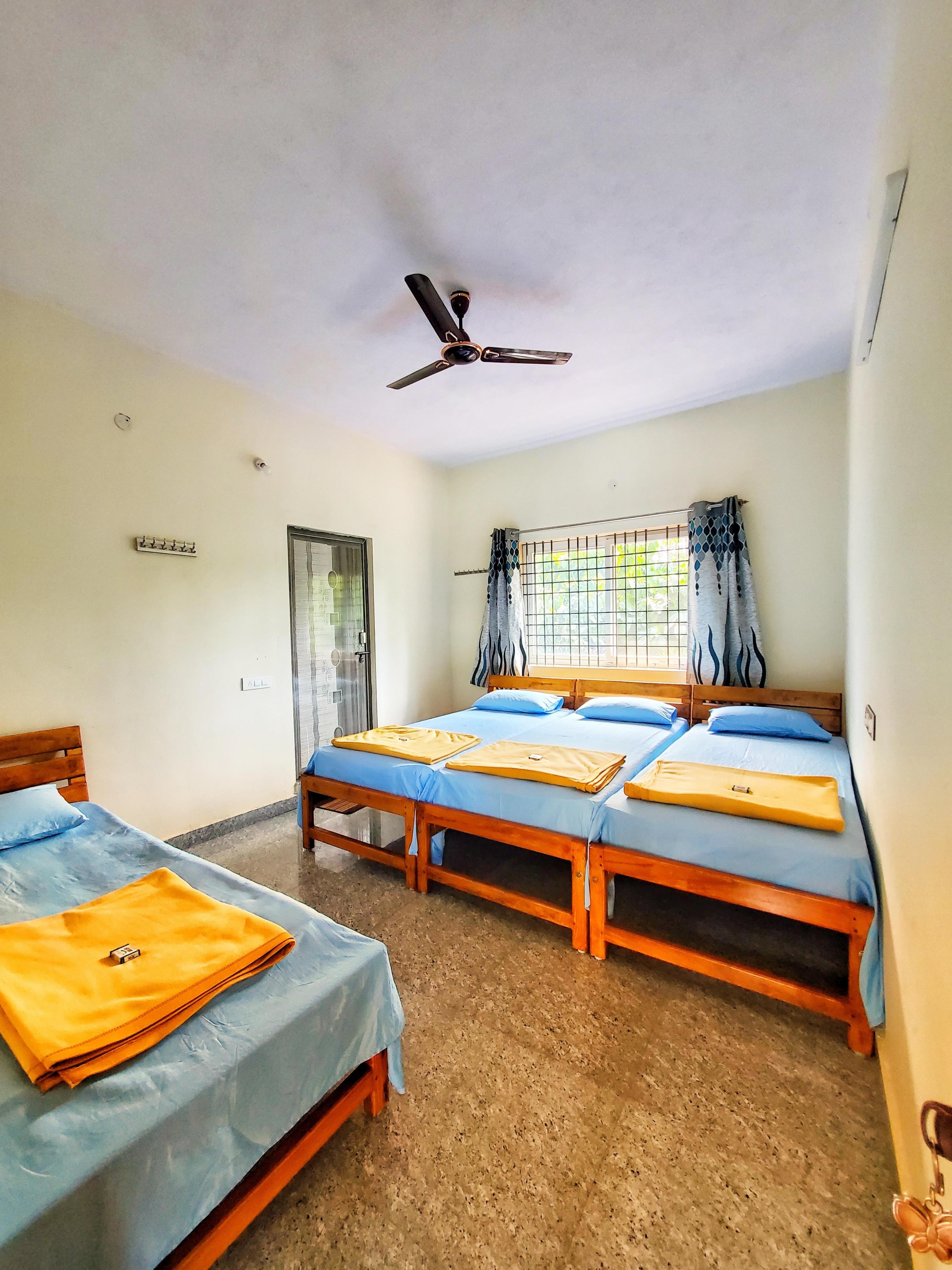 Moon Mist Forest Stay - Tap to explore photos