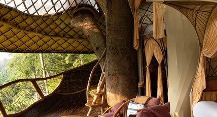 Bambu Indah Resort Room Type - Tree House