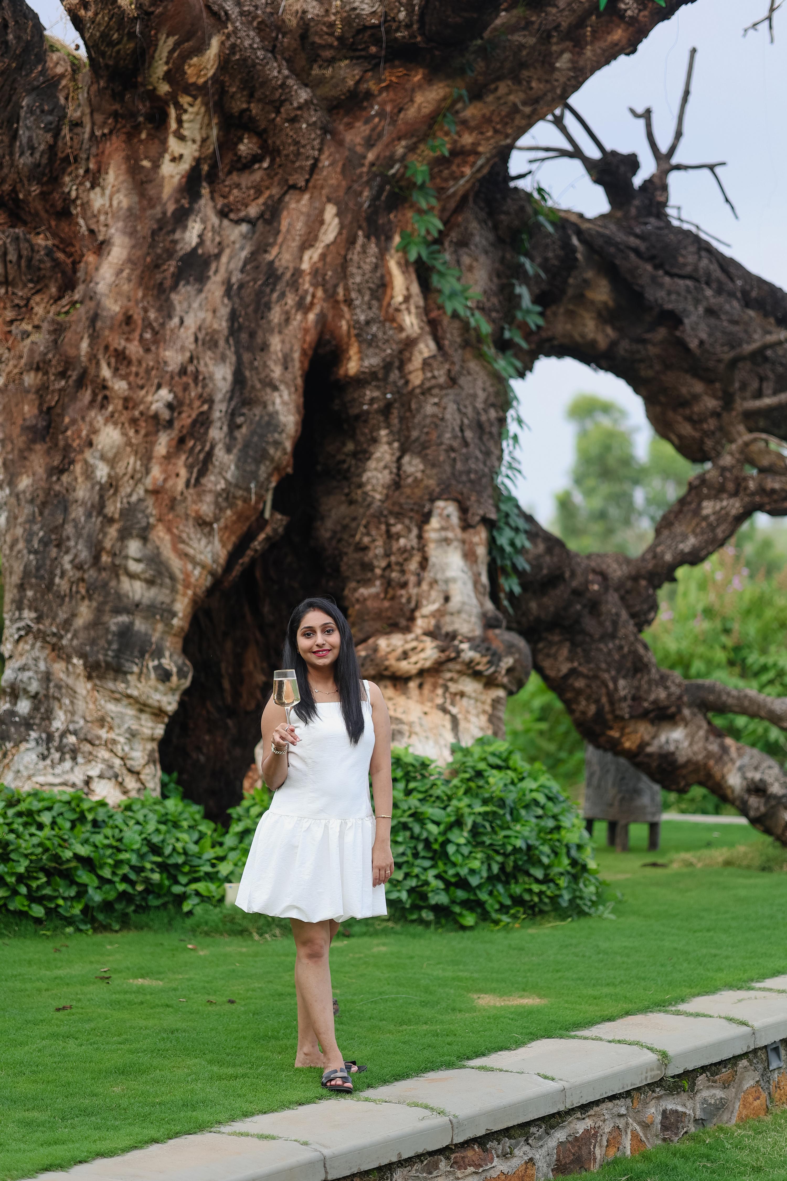 Radisson Resort Hatgad Saputara - Tap to explore photos