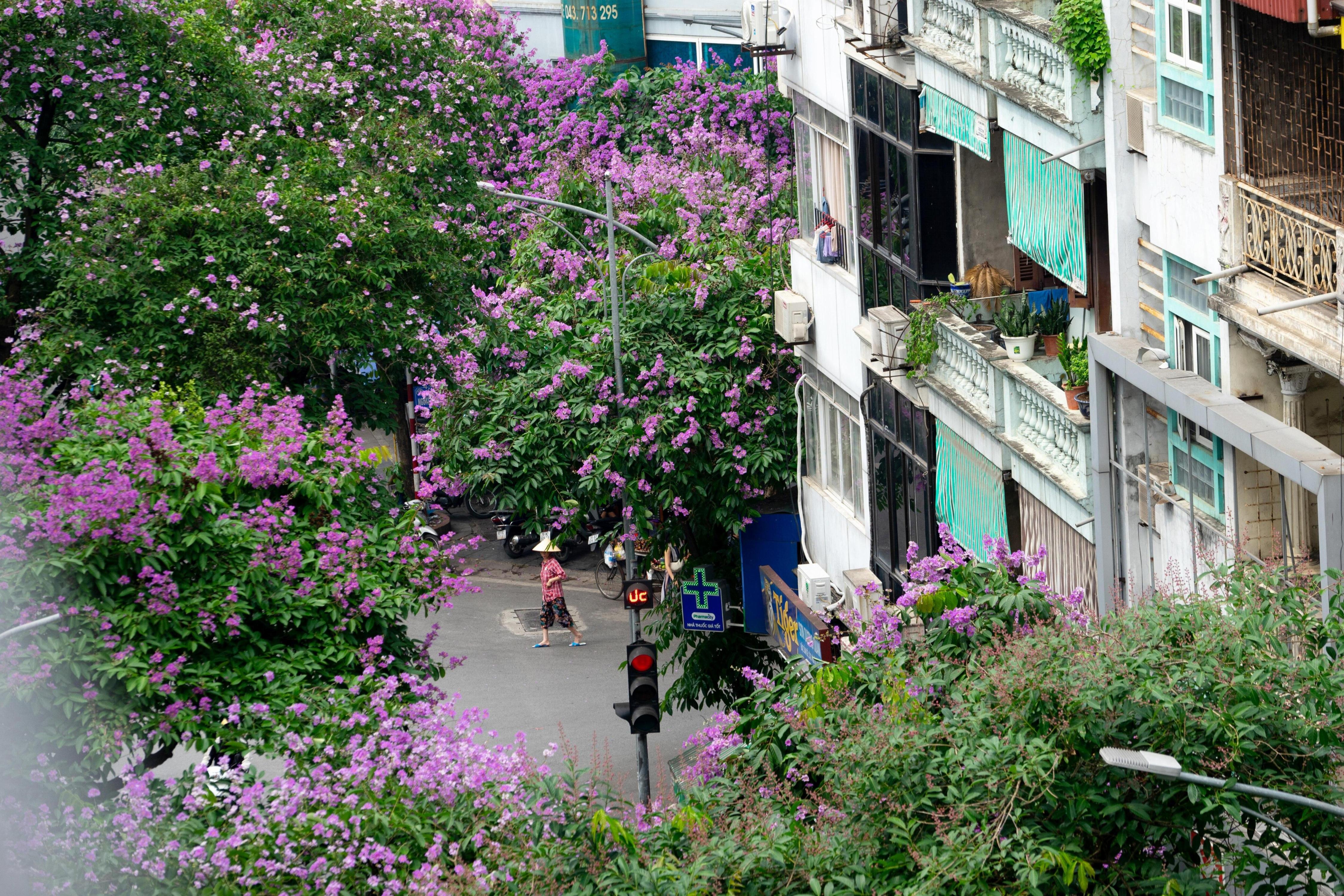 Wil'que Hotel Hanoi - Tap to explore photos
