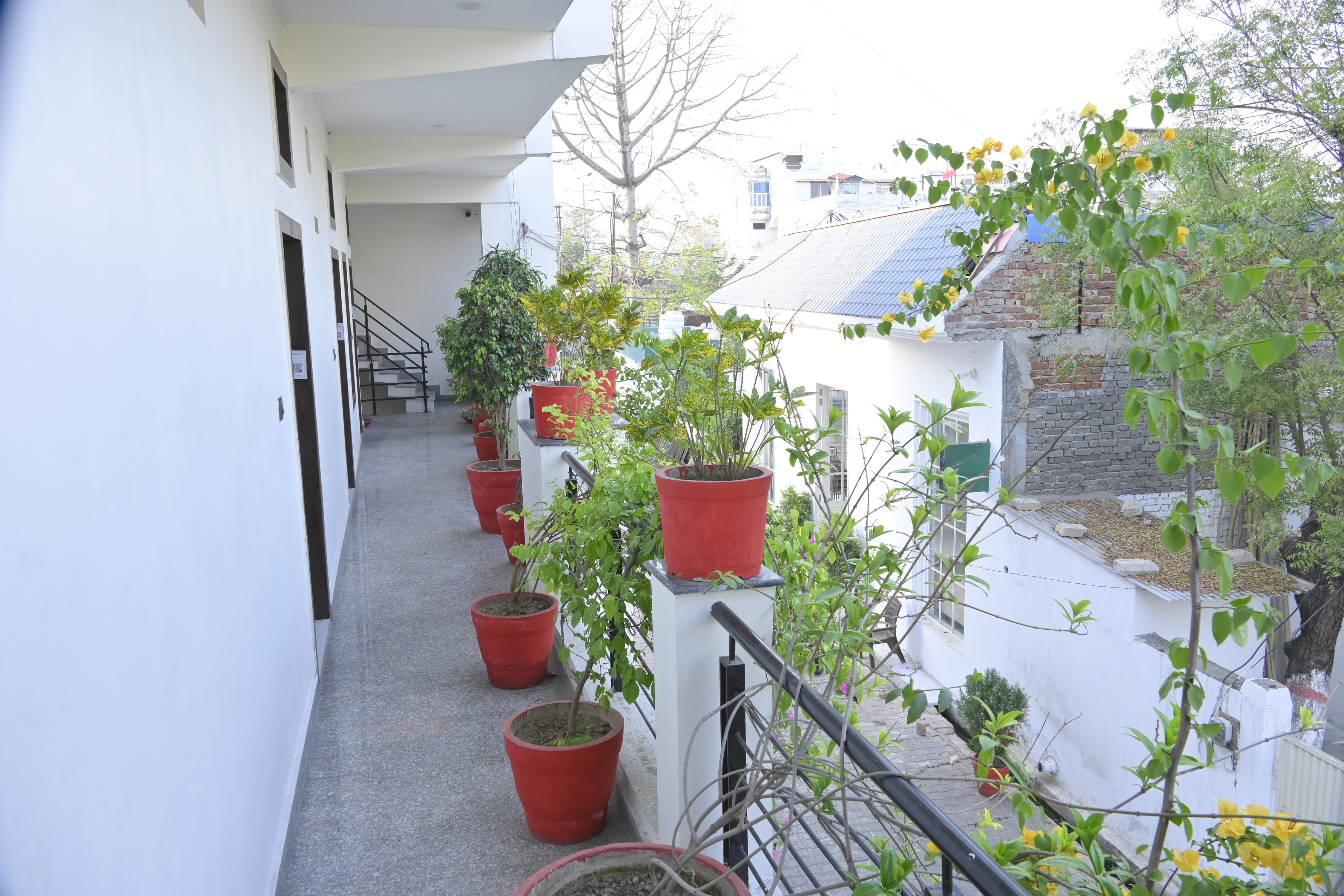 Gulmohar green lawn - Tap to explore photos