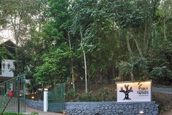 Curly wood by clustercloud