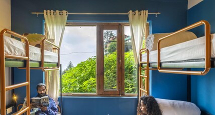 Zostel Shoja (Jibhi) Room Type - 1 Bunk Bed | 6 Bed mixed Dorm | Shared washroom