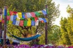 Dormigo Hostel Bir Biling