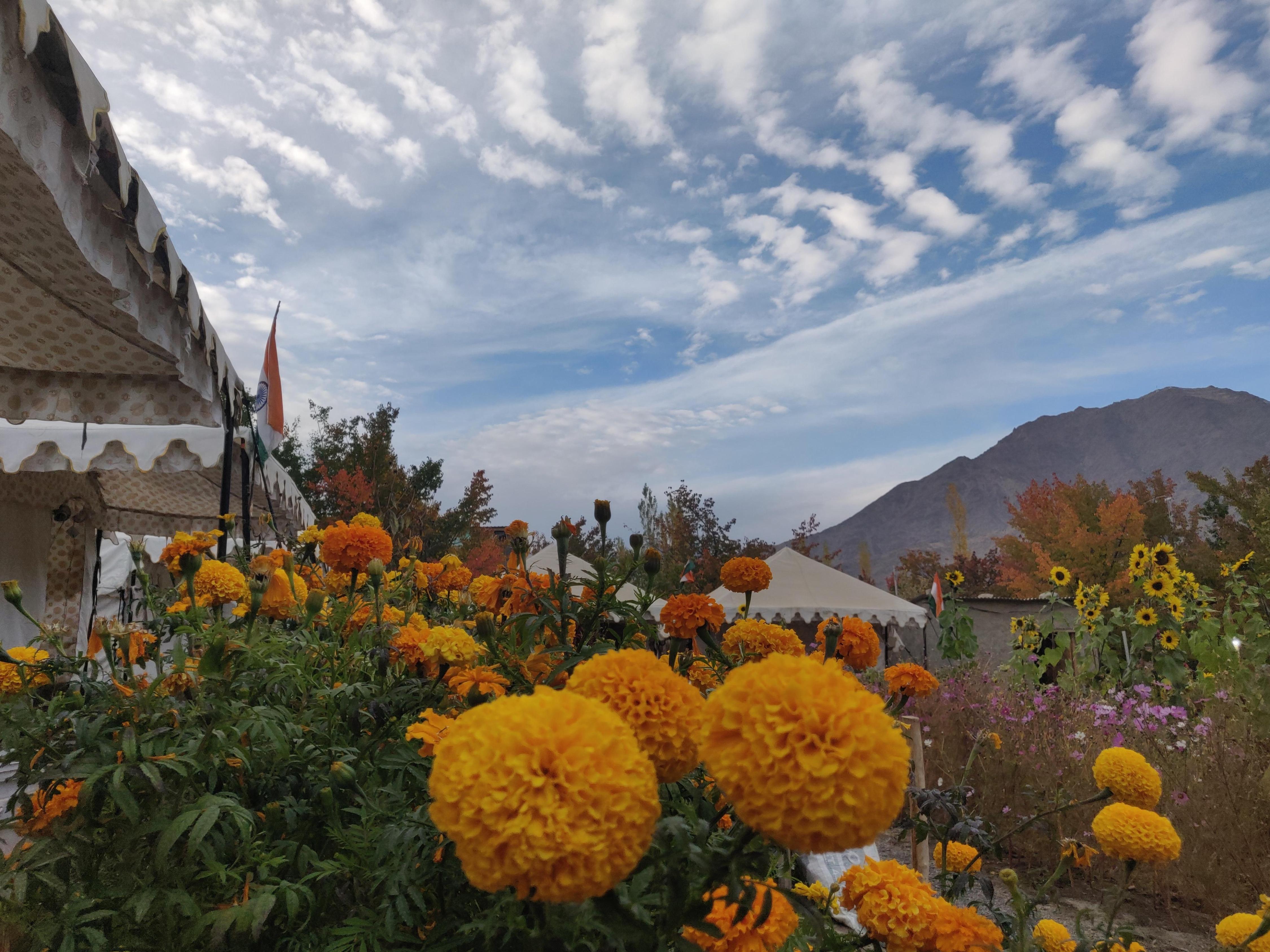 Mountain Camping Resort Ladakh