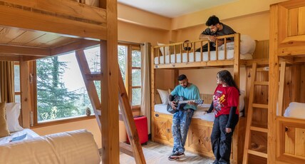 Zostel Kotgarh (Narkanda) Room Type - 1 Bunk Bed | 6 Bed Mixed Dorm | Shared washroom